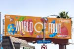 World of Fruit